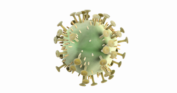 videoblocks-3d-animation-of-a-hiv-virus-on-a-white-background-with-alpha-channel_siilicfzz_thumbnail-full01
